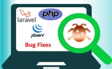 php, php errors fix, php web development, laravel web development